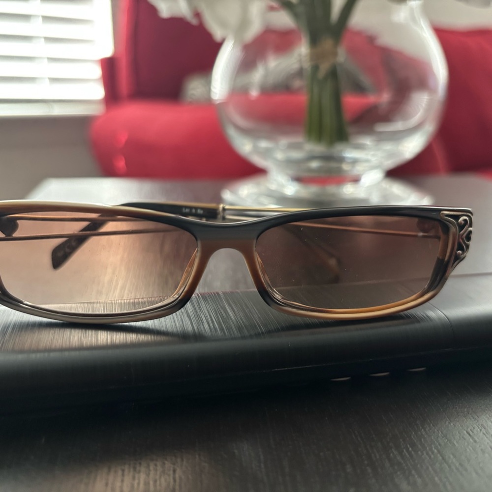 Brighton Brown Rectangular Sunglasses
